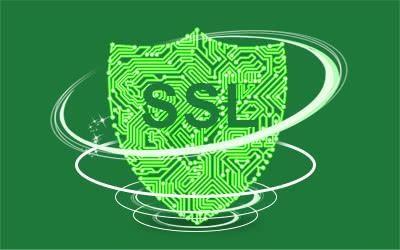 SSL证书是网站数据安全的基本保证