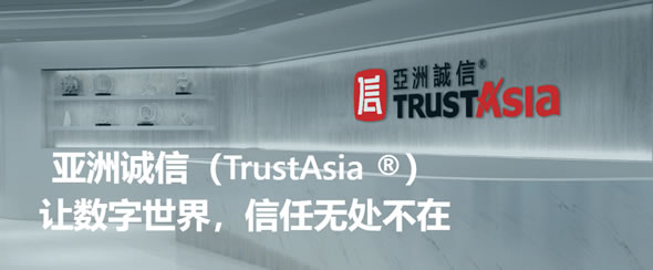 TrustAsia DV 通配符证书