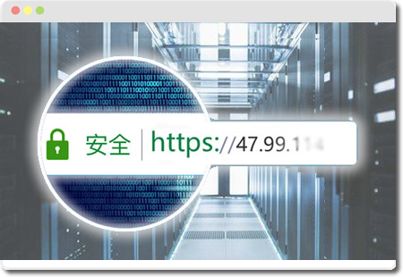 环安信 OV 企业版公网 IP SSL证书