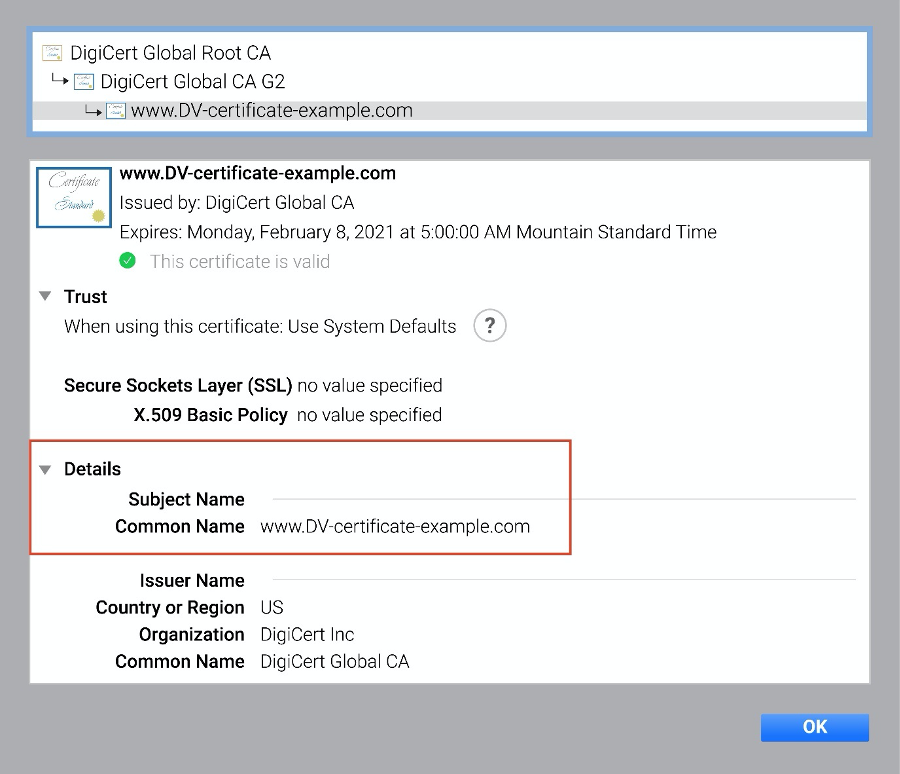 Chrome 中的 DV 证书示例