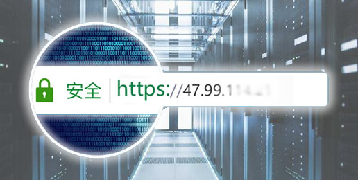 IP SSL证书在浏览器地址栏的显示效果